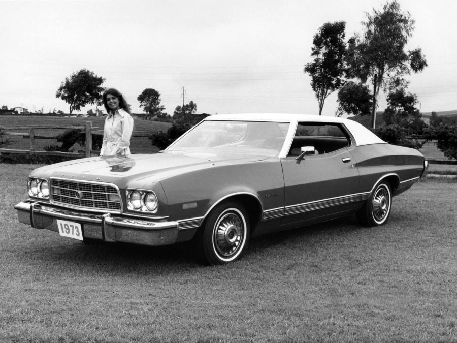  Ford Gran Torino Hardtop Coupe 1973 года  (фото 1 из 1)